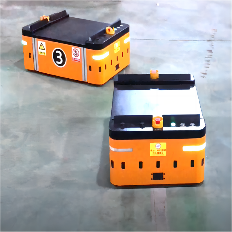 Two-way Platform Type AGV